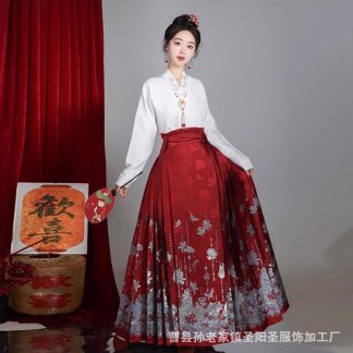 Neo-Chinese Chinese Style Skirt 12