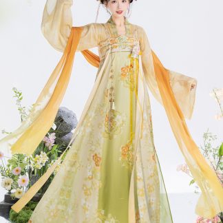Embroidered Hanfu Dress Set for Women - Style 2 alternate product photo