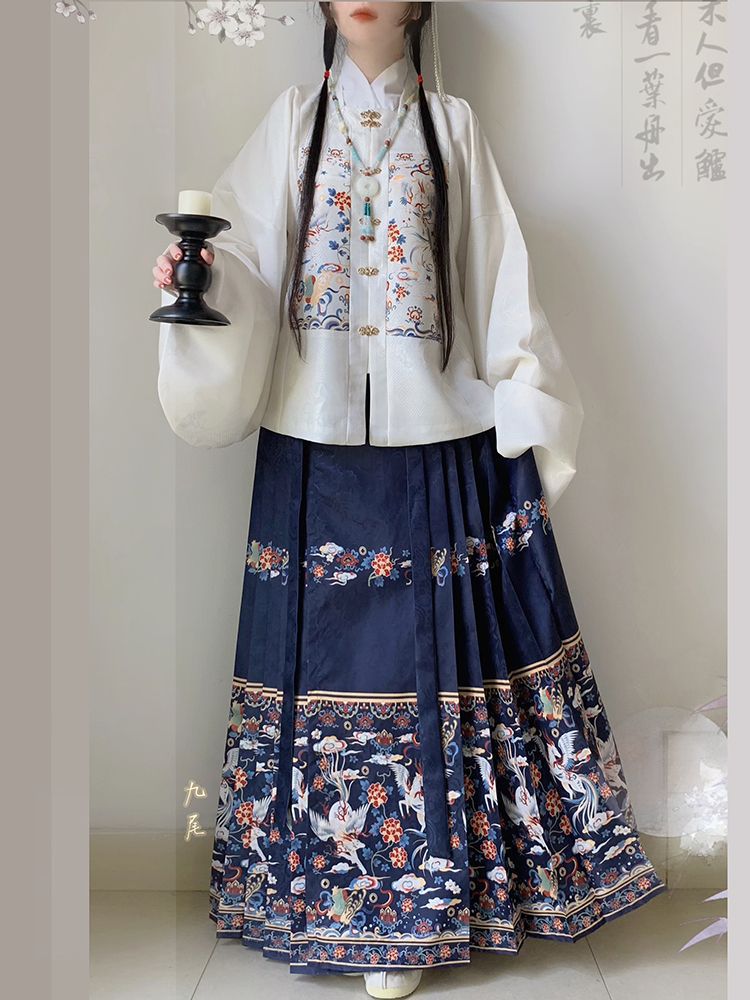Jacquard Chinese Style Skirt for Women product photo - Zhongguo Hanfu