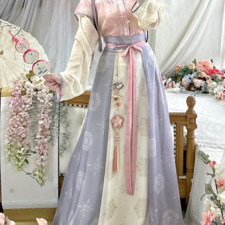 Traditional Hanfu Dress Set for Women - Style 9 alternate product photo