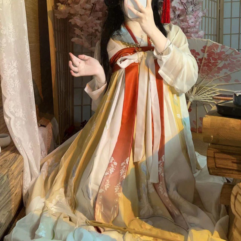Neo Chinese Style Skirt for Women product photo - Zhongguo Hanfu