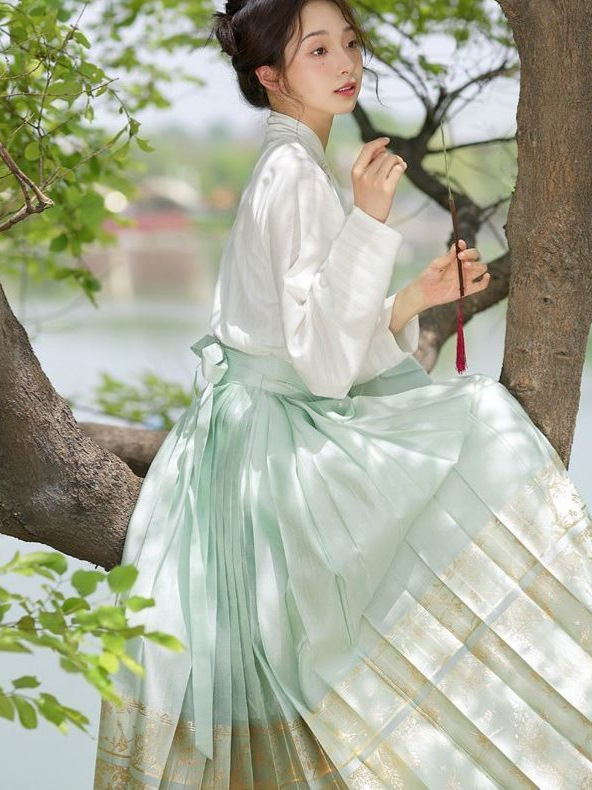 Chinese Style Skirt for Women product photo - Zhongguo Hanfu